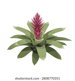 Vector art of vibrant green bromeliad plant with bold pink bloom centered on simple white background.