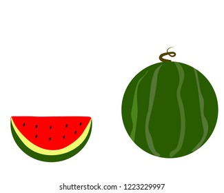 vector art watermelon