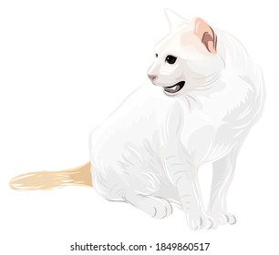 Vector art of a white cat long orange tail