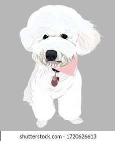 Vector art white dog gray background