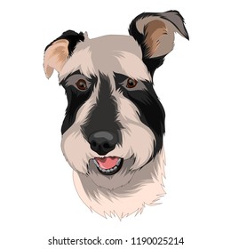 vector art - whitedogg