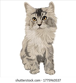 Vector art of a young beautiful cat