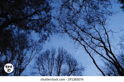 Vector art,forest at night. painting style.