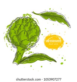 Vector artichoke hand drawn illustration in the style of engraving. Detailed vegetarian food drawing. Farm market product. Grunge illustration for create the menu, recipes, decorating kitchen items