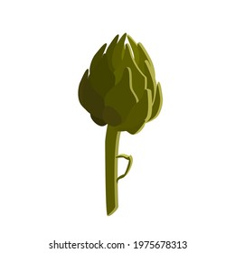 Vector artichoke on a white background. An ingredient for arigoule.  Green vegetable is isolated and can be used for images for social networks, recipes