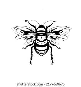 vector artistic bee on transparent background