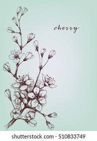 Vector artistic flowers, cherry floral branch