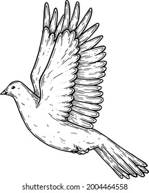 Vector, artistic illustration, handmade, made with pen and ink.