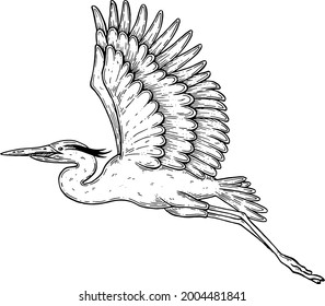 Vector, artistic illustration, handmade, made with pen and ink. A heron in flight.