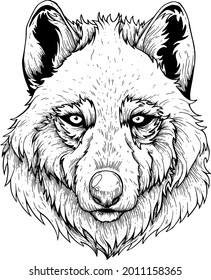 Vector, artistic illustration, handmade, made with pen and ink. Wolf.