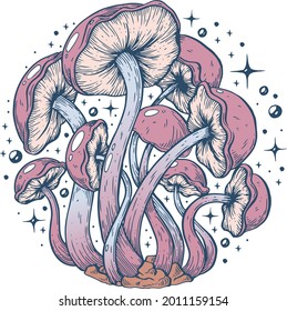 Vector, artistic illustration, handmade, made with pen and ink. Mushrooms.