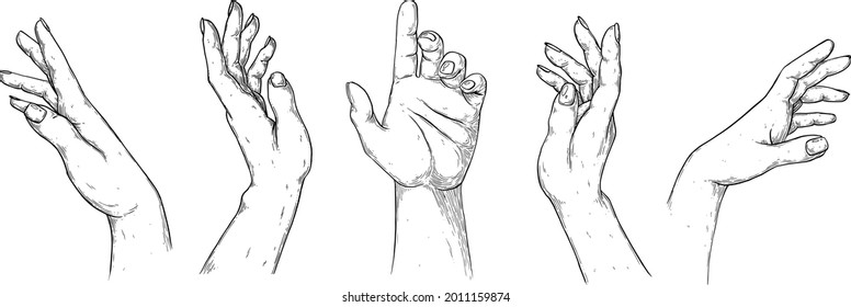 Vector, artistic illustration, handmade, made with pen and ink. Women's hands.