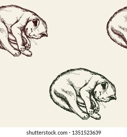 vector artistic natural cat scetch drawning pattern