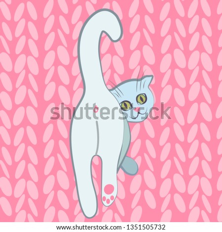vector artistic natural grey and white cat on the pink bacground icon logo lilhouette