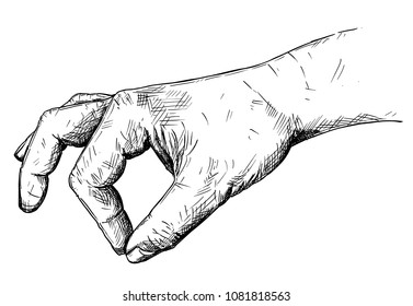 Vector artistic pen and ink drawing illustration of hand holding something small between pinch fingers. Possibly spice or salt or pepper.