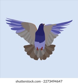 Vector artwork of a beautiful flying Pigeon birds