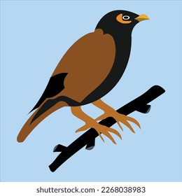 Vector artwork of a beautiful myna birds