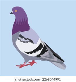 Vector artwork of a beautiful pigeon birds