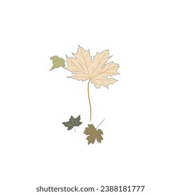 vector artwork of fallen dry leaves