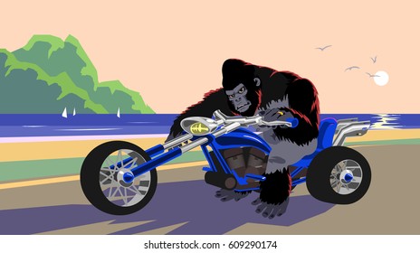  vector  artwork, gorilla on blue motorcycle nearby the beach at sunset in cartoon style