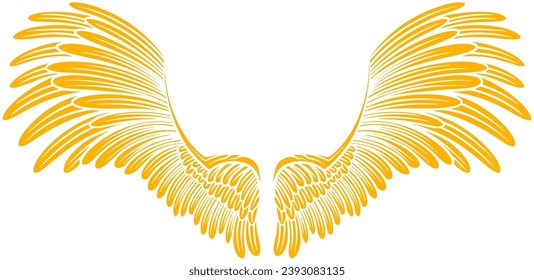 Vector artwork illustration wings design