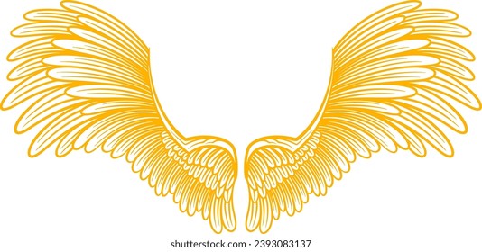 Vector artwork illustration wings design
