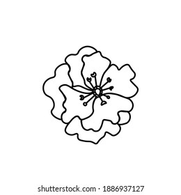 Flor vectorial asiática en forma de doodle. Ilustración botánica de primavera para el Año Nuevo chino. Sakura en flor de cerezo con línea dibujada a mano negra. Tarjetas de diseño, medios sociales, bodas, pegatinas, libros de colores.