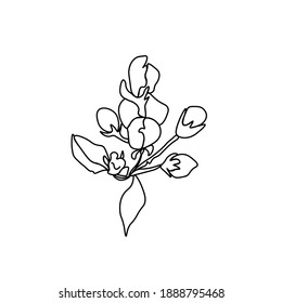 Vector Asian flower in doodle style Spring botanical illustration for Chinese New Year.Cherry blossom sakura  with black hand drawn line.Design cards,social media,weddings,stickers,coloring books.