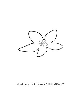 Flor vectorial asiática en forma de doodle. Ilustración botánica de primavera para el Año Nuevo chino. Sakura en flor de cerezo con línea dibujada a mano negra. Tarjetas de diseño, medios sociales, bodas, pegatinas, libros de colores.
