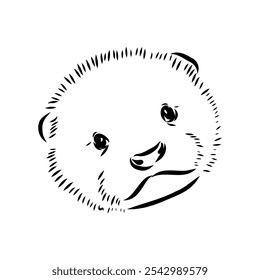 Vector of Asian Otter, Aonyx cinerea or Oriental Small-clawed Otter on whiet background.