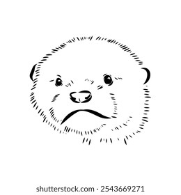 Vector of Asian Otter, Aonyx cinerea or Oriental Small-clawed Otter on whiet background.