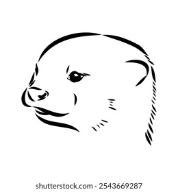 Vector of Asian Otter, Aonyx cinerea or Oriental Small-clawed Otter on whiet background.