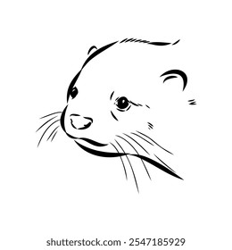 Vector of Asian Otter, Aonyx cinerea or Oriental Small-clawed Otter on whiet background.