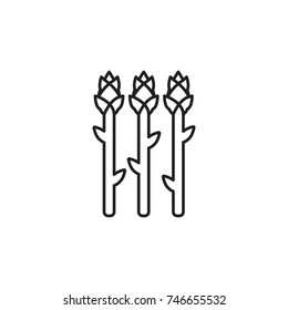Vector Asparagus icon. Farm vegetables element. Premium quality graphic design. Signs, outline symbols collection, simple thin line icon for websites, web design, mobile app icon on white background