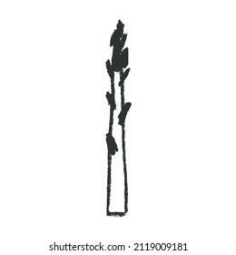Vector asparagus icon. Pencil textures. Green sparrow grass illustration isolated. Vegan restaurant logo, vegetarian symbol. Homemade cooking sign. Vegetable drawing for label. Asparagus officinalis.