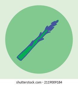 Vector asparagus icon. Pencil textures. Green sparrow grass illustration isolated. Vegan restaurant logo, vegetarian symbol. Homemade cooking sign. Vegetable drawing for label. Asparagus officinalis.