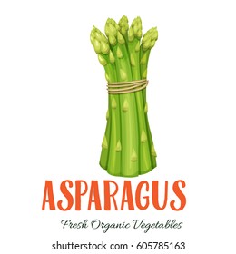 Vector asparagus . Vegetable illustration for farm market menu. Healthy food design