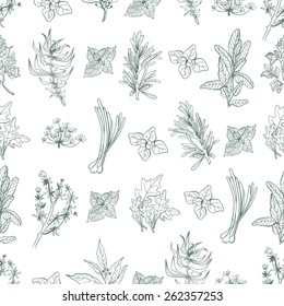 Vector assorted fresh herbs pattern. Abstract seamless background.