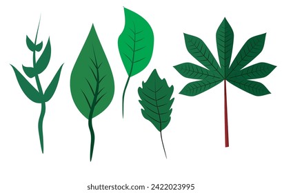 Vector assorted green leaves, including cassava leaves.