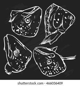 Vector atlantic salmon fish isolated on a black background. Hand Draw Salmon fish outline vector illustration.