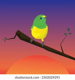 vector of attractive colored small birds, birds perched on branches, sunset