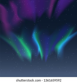 Vector Aurora Borealis Illustration Night Starry Stock Vector (Royalty ...