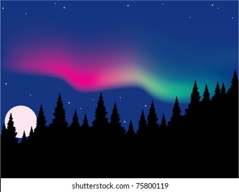 vector aurora polaris over forest