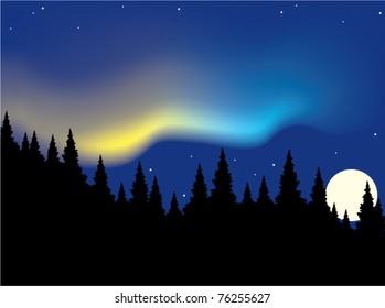 vector aurora polaris over forest