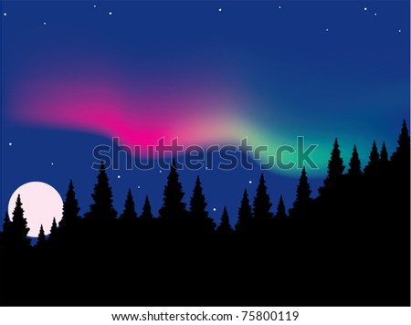 vector aurora polaris over forest