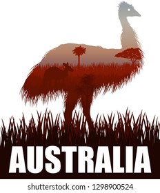 vector Australia illustration with ostrich Emu and kangaroo in desert