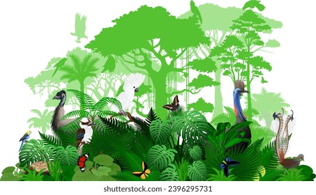 Vector Australia tropical jungle rainforest illustration with animals.	