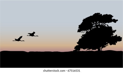 Vector Australian lowland background with tree and flying jaberus