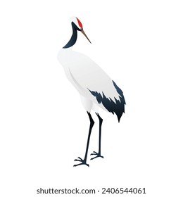 Vector australian white ibis isolated on white.