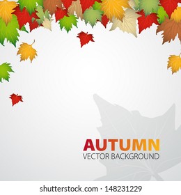 Vector Autumn abstract background with colorful leafs and place for your text